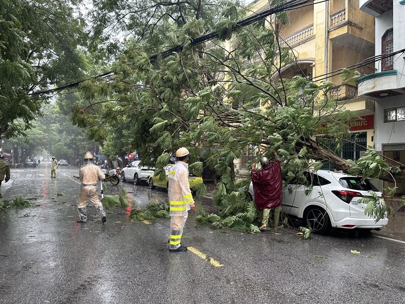 Công an quận Hồng Bàng phân luồng giao thông, phối hợp khắc phục hậu quả cây xanh ngã đổ vì mưa bão